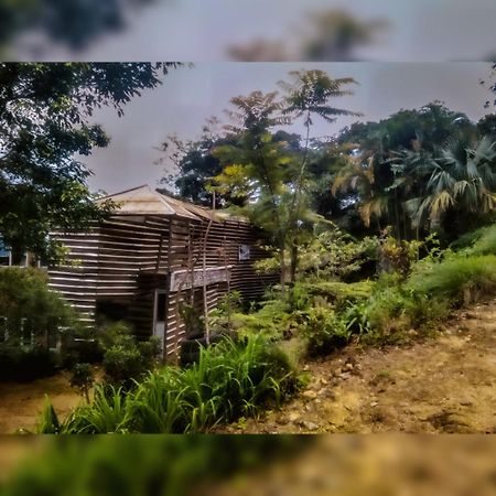 Jungle Tree House Rangala Bed & Breakfast Kandy Eksteriør bilde