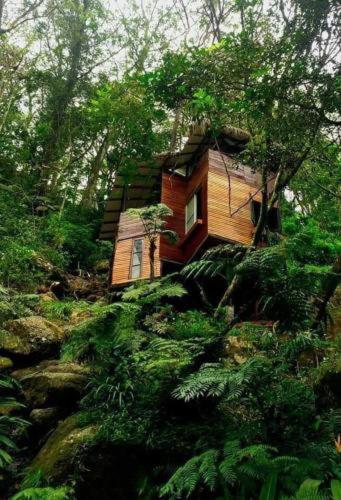 Jungle Tree House Rangala Bed & Breakfast Kandy Eksteriør bilde