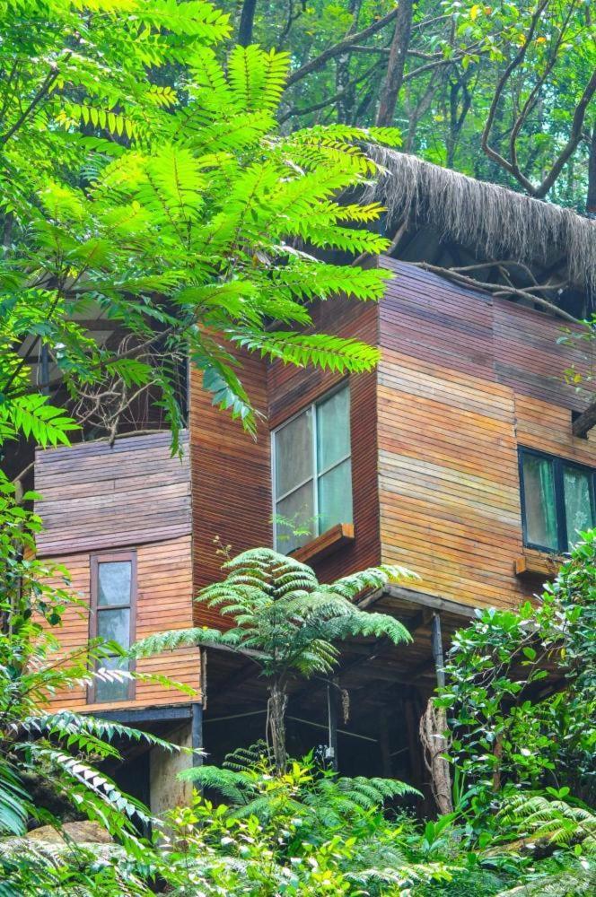 Jungle Tree House Rangala Bed & Breakfast Kandy Eksteriør bilde